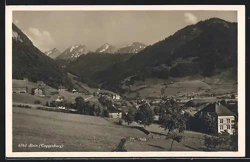 AK Stein /Toggenburg, Ortspartie im Gebirge