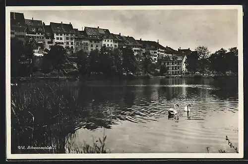 AK Wil, Schwanenteich