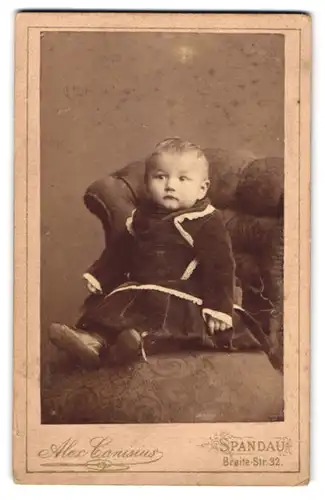 Fotografie Alex Canisius, Spandau, Breite Str. 32, Süsses Baby im Samtrock auf einem Sessel