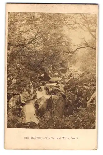 Fotografie F. Bedford, London, Ansicht Dolgellau / Dolgelley, The Torrent Walk (Llwybr Clywedog)