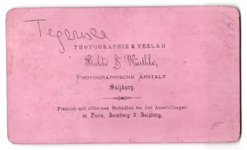 Fotografie Baldi & Würthle, Salzburg, Ansicht Tegernsee, Blick nach dem Parapluie mit Wohnhäusern