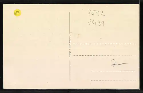 AK Willingen, Totalansicht mit Bergen