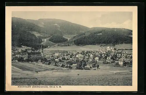 AK Neustadt, Blick über die Ortschaft