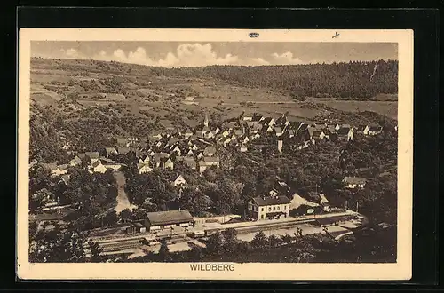 AK Wildberg, Ortsansicht mit Bahnhof
