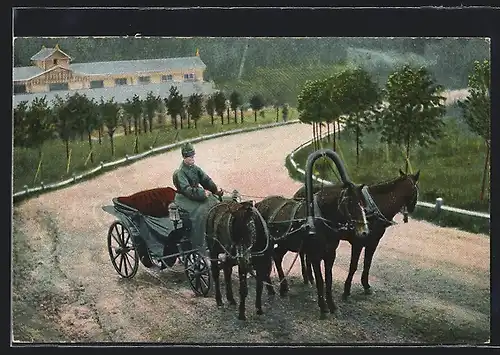 AK Russische Typen, Mann auf seinem Pferdegespann unterwegs