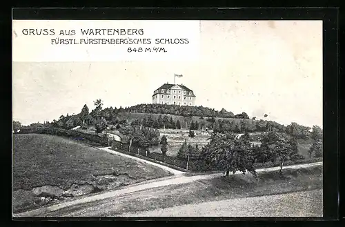 AK Geisingen, Fürstl. Fürstenberg'sches Schloss