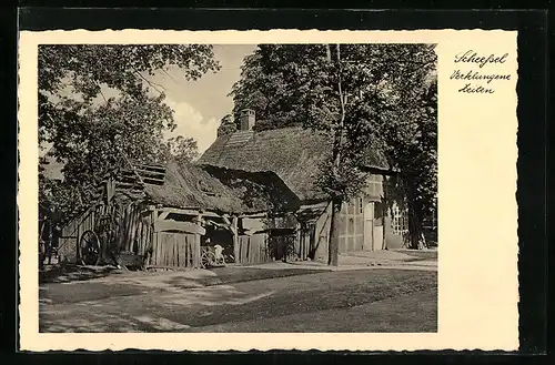 AK Scheessel, Historisches Bauernhaus mit Reetdach