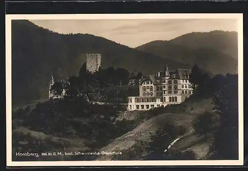 AK Hornberg, bad. Schwarzwald, Gauschule umgeben von Bergen