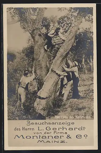 AK Mainz, Ernte des Korkholzes, Firma Montaner & Co.