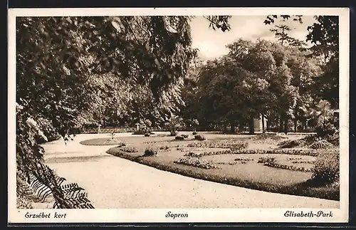 AK Sopron, Elisabeth-Park