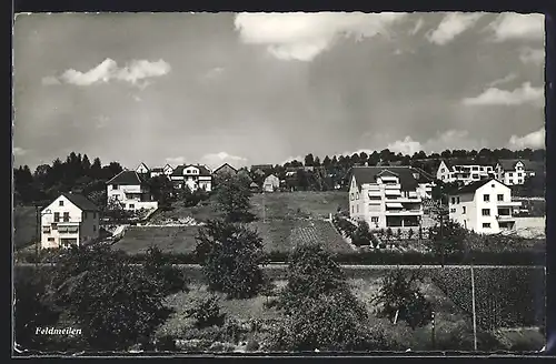 AK Feldmeilen, Ortsansicht mit Wohnhäusern