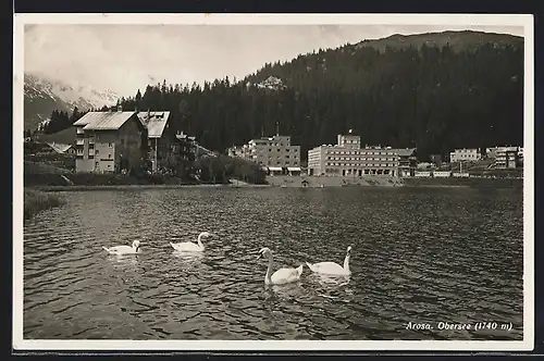 AK Arosa, Post Hotel, Schwäne auf dem Obersee