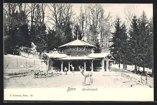 AK Bern, Hirschenpark