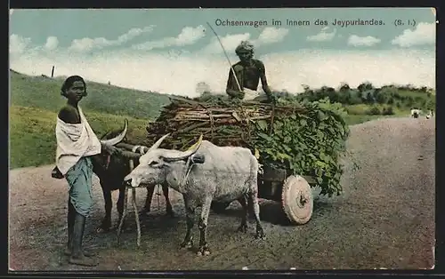AK Ochsenwagen im Innern des Jeypurlandes, Indien