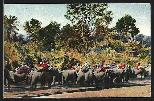 AK Removing newly captured Elephants by the aid of kumkees, Elefanten