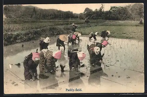 AK Arbeiterinnen am Reisfeld (Paddy-field)