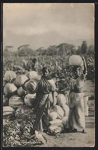 AK Sri Lanka, Ceylon Vegetables, Zwei Frauen im Kürbisfeld