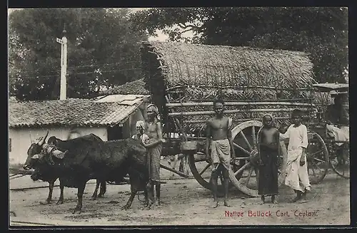 AK Ceylon, Native Bullock Cart, Ochsen-Gespann