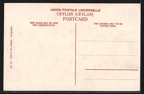 AK Ceylon, Native Bullock Cart, Ochsen-Gespann