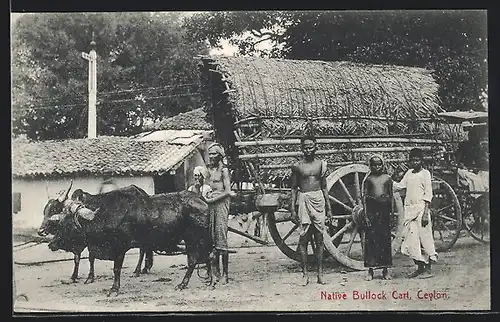 AK Ceylon, Native Bullock Cart