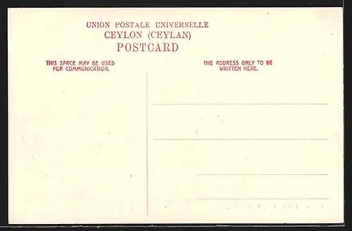 AK Colombo, Native Fruit Stall, Obst- und Gemüsehändler