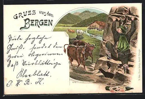 Lithographie Bergsteiger mit Kühen