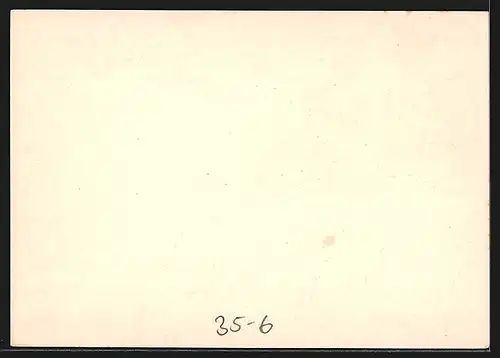 Künstler-AK Reklame Dünger mit Kali