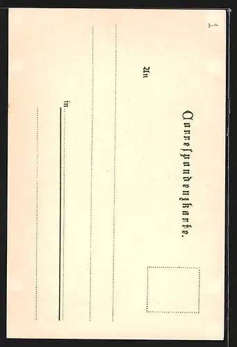 Künstler-Lithographie H. Junker: Wien, Peterskirche mit Stephansturm