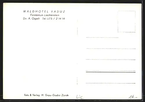 AK Vaduz, Waldhotel