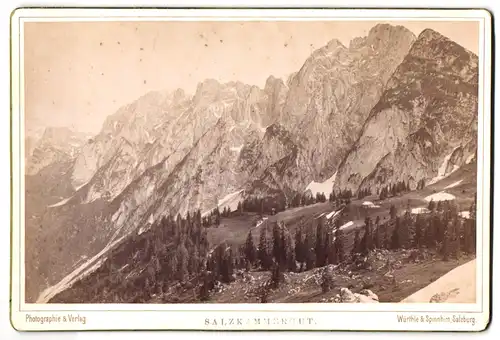 Fotografie Würthle & Spinnhirn, Salzburg, Ansicht Gosau, Blick nach dem Donnerkogel von der Zwieselalpe aus gesehen