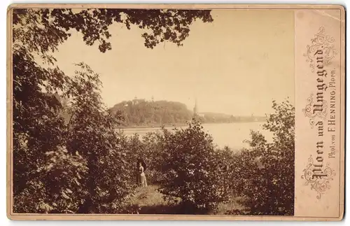 Fotografie F. Henning, Plön, Ansicht Plön, Blick nach der Stadt aus dem Wald