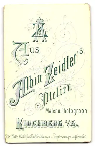 Fotografie Albin Zeidler, Kirchberg i. Sa., Junger sympathischer Mann mit Scheitel und Fliege