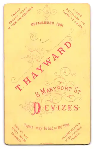 Fotografie T. Hayward, Devizes, 8. Maryport St., Hübsche Dame mit Hut und mürrischem Blick