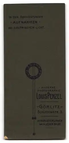 Fotografie Louis Penzel, Görlitz, Schützenstr. 3, Feiner junger Mann im dunklen Anzug mit Taschenuhr und Fliege