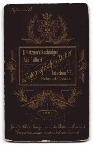 Fotografie Adolf Albert, Bodenbach, Bahnhofstr., Elegantes junges Geschwisterpaar im weissen Kleid und Anzug mit Schirm