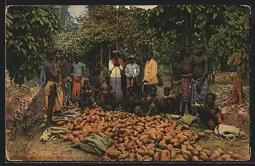 AK Kakaoernte mit Bali-Weyboys