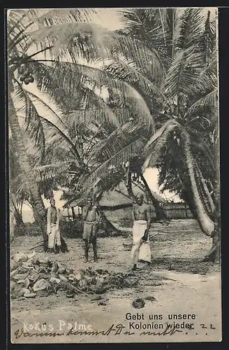 AK Erntearbeiter vor Kokospalmen