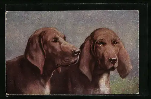 Künstler-AK Carl Reichert: St. Hubertus-Hunde