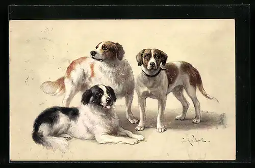 Künstler-AK Carl Reichert: Drei Deutsche Bracken in entspannter Haltung