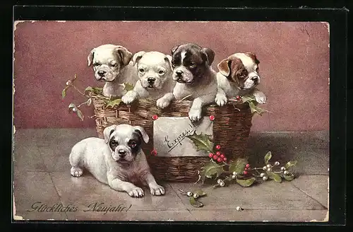 Künstler-AK Carl Reichert: Welpen in einem Korb, Neujahrsgruss