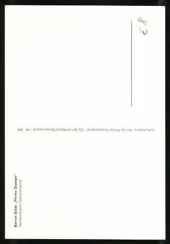 AK Tennenborn /Schwarzwald, Narren Gilde Pfrime Stumpe