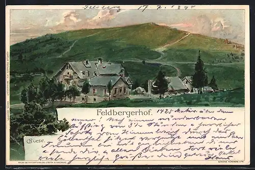 Künstler-AK C.Biese: Feldbergerhof