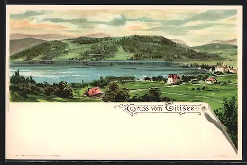 Lithographie Titisee, Totalansicht aus der Vogelschau