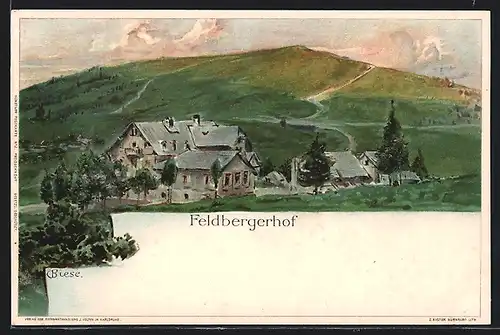 Künstler-AK C.Biese: Feldbergerhof