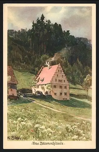 Künstler-AK Carl Biese: Freudenstadt / Schwarzwald, Blick zum Bärenschlössle