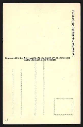 Künstler-AK Carl Biese: Freudenstadt / Schwarzwald, Blick zum Bärenschlössle