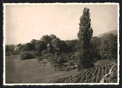 AK Saint-Aubin, Blick auf Haus und Garten