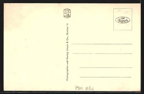 AK Stolp, Partie am Schloss