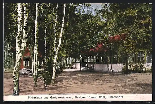 AK Eltersdorf, Birkenhain und Gartenrestaurant von Konrad Wolf