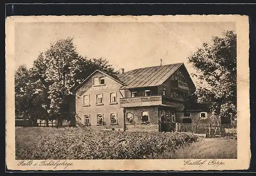 AK Falls /Fichtelgeb., Gasthof Popp / Zur Eisenbahn